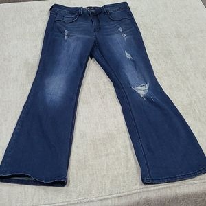 Melissa McCarthy Seven7 Jeans